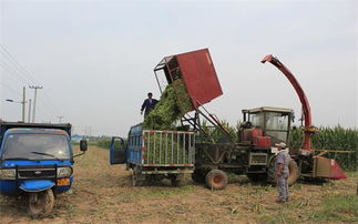 科技興農(nóng)新引擎 陜西農(nóng)業(yè)機(jī)械化管理局信息網(wǎng)的智能服務(wù)與農(nóng)機(jī)發(fā)展